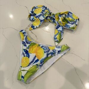 Watercolors by Kenny Flowers Bikini